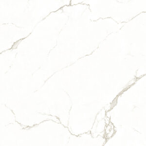 carrara-805